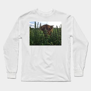 Scottish Highland Cattle Calf 2086 Long Sleeve T-Shirt